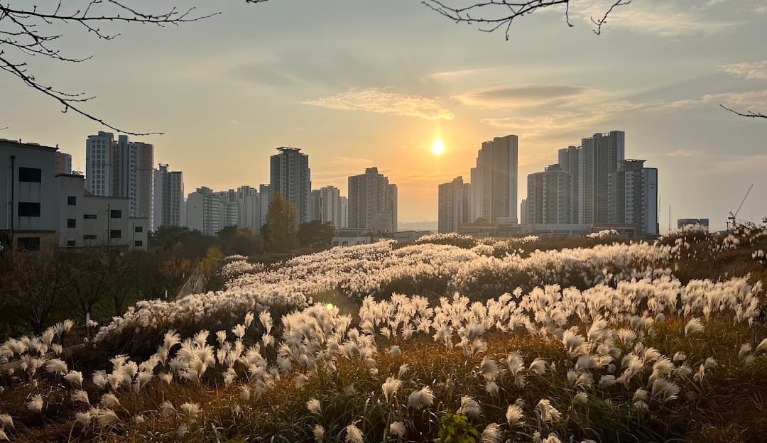 아산 배방점 오픈 예정